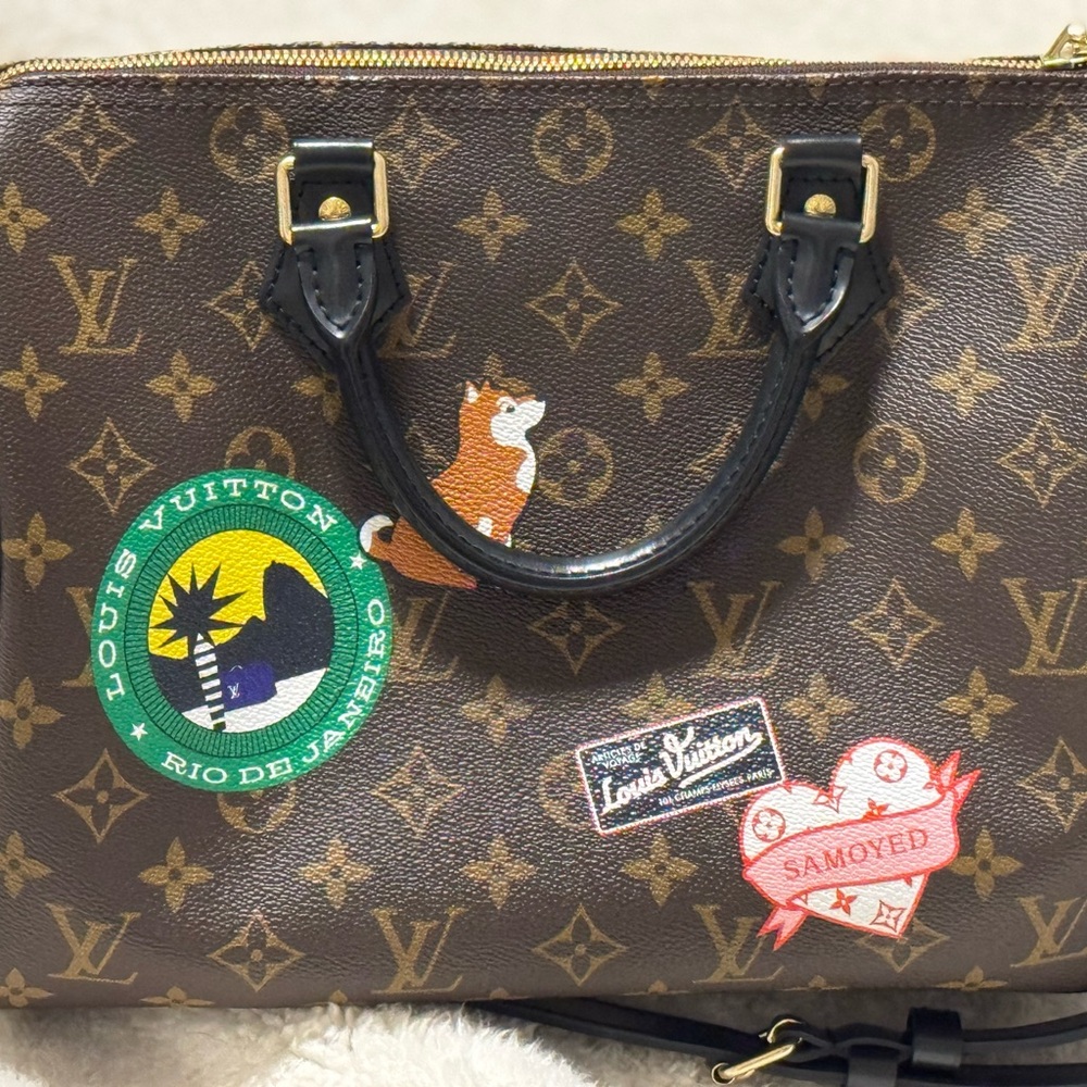 Stunning Louis Vuitton LV Speedy 30 In World Tour